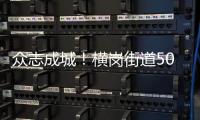 众志成城！横岗街道500余名两新组织党员主动请愿抗疫